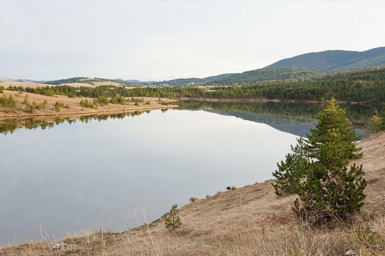Goldpine Apartments Zlatibor Bagian luar foto