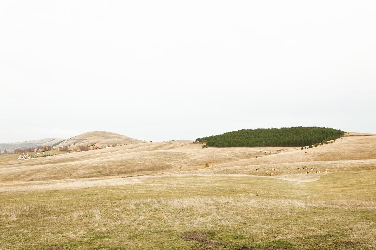 Goldpine Apartments Zlatibor Bagian luar foto